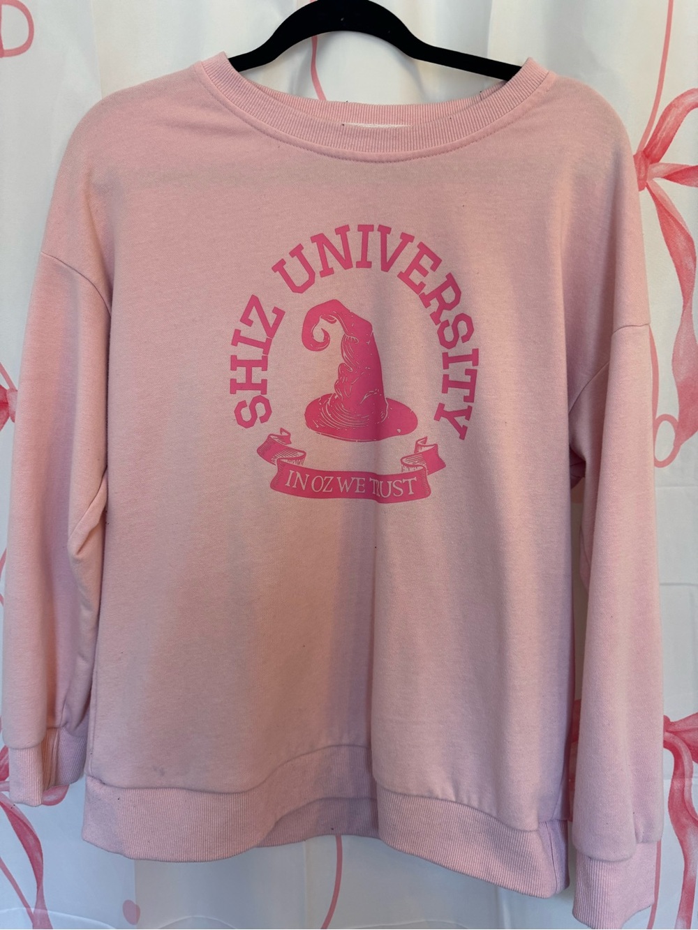 Pink Graphic Sweatshirt - SHIZ University